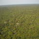 Imagen para el artículo titulado Esta región del Amazonas albergó una compleja civilización perdida de la que no se sabía nada hasta ahora